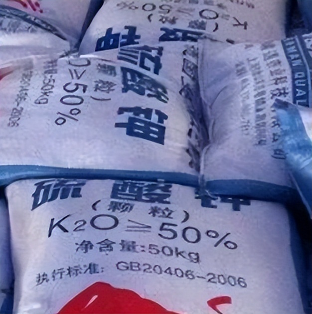中港?；愤M(jìn)口
