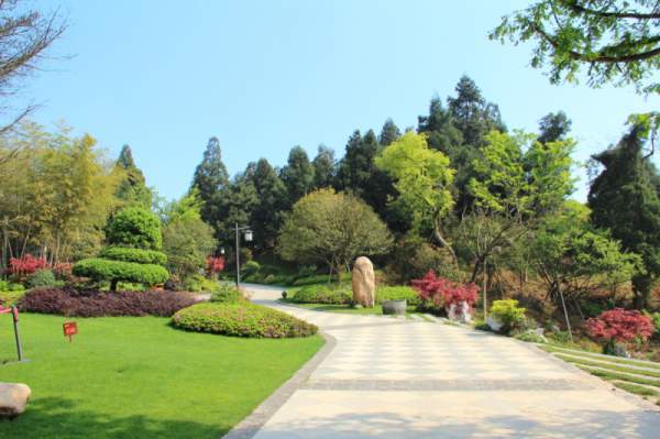 綠化工程苗木價格計算方式 綠化工程苗木價格計算方式