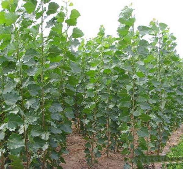 現(xiàn)場拍攝的圖片 現(xiàn)場拍攝的圖片