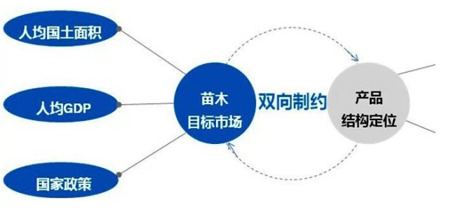 學(xué)習(xí)國外苗木行業(yè)經(jīng)驗，搶先了解國內(nèi)市場動態(tài)