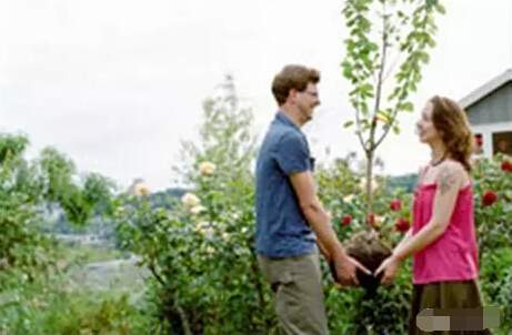 求愛(ài)要栽樹