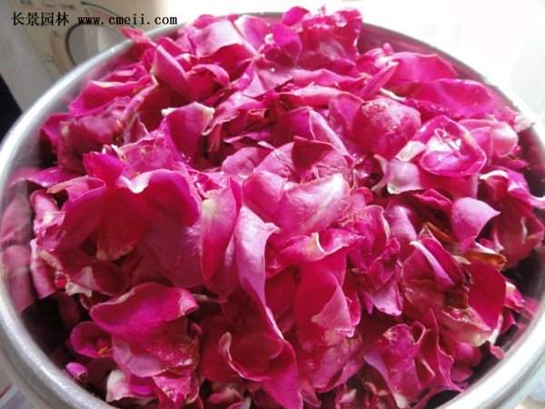 物美價(jià)廉的食用玫瑰在哪買？